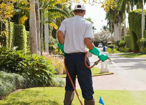 About Fayetteville WV Pest Control